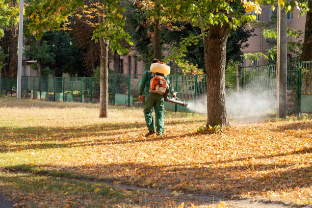 Pest Prevention Services in Sebewaing, MI